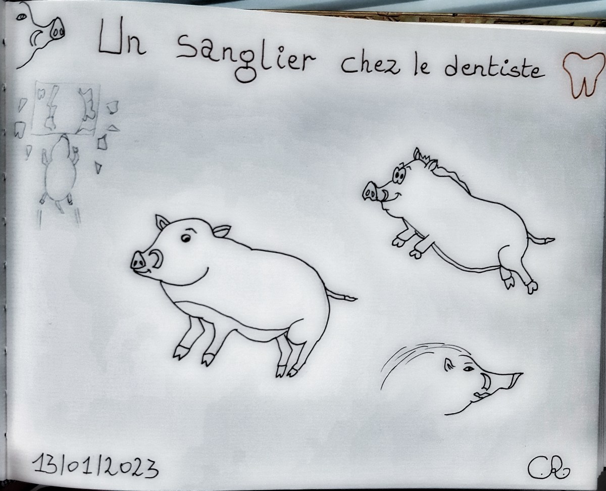 Un sanglier chez le&nbsp;dentiste