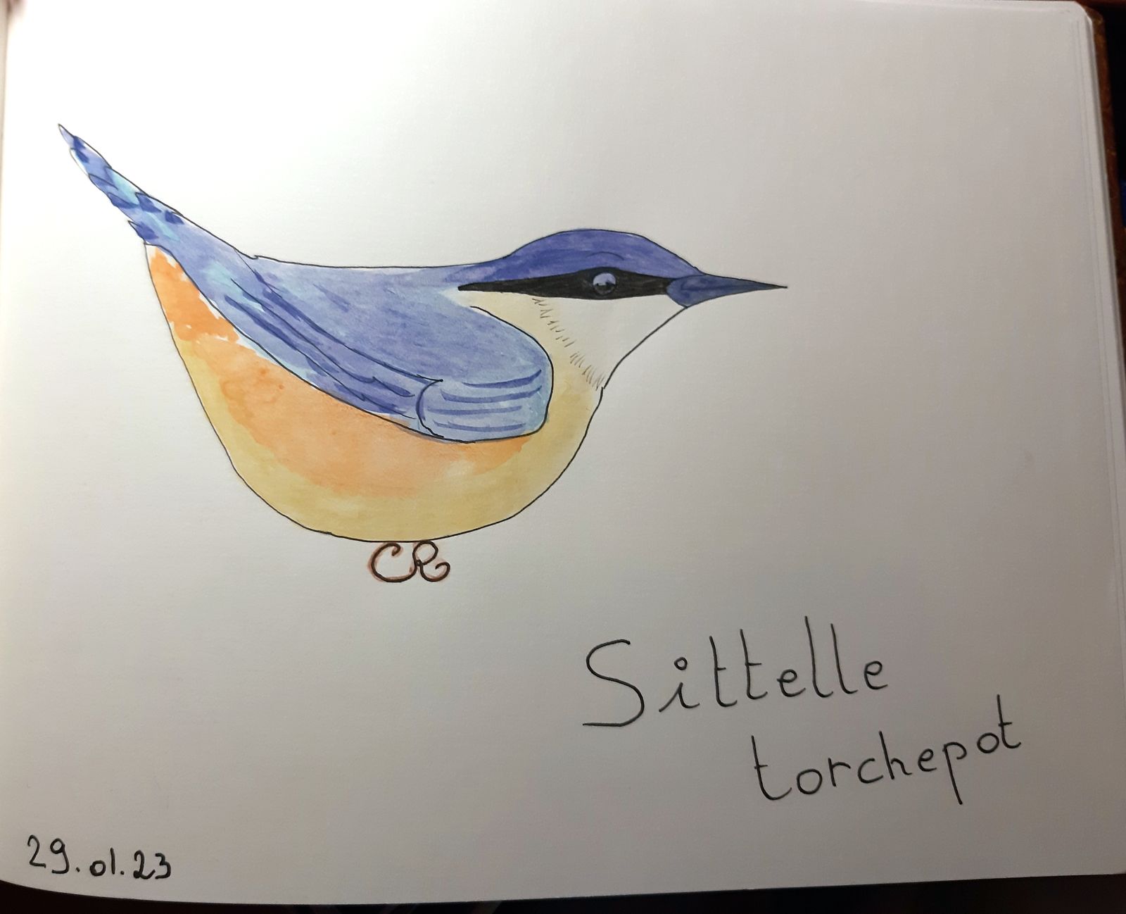 Les supers pouvoirs de la&nbsp;marche