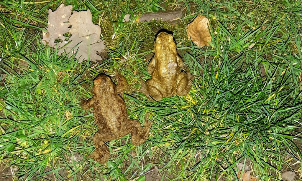 La nature en&nbsp;déplacement