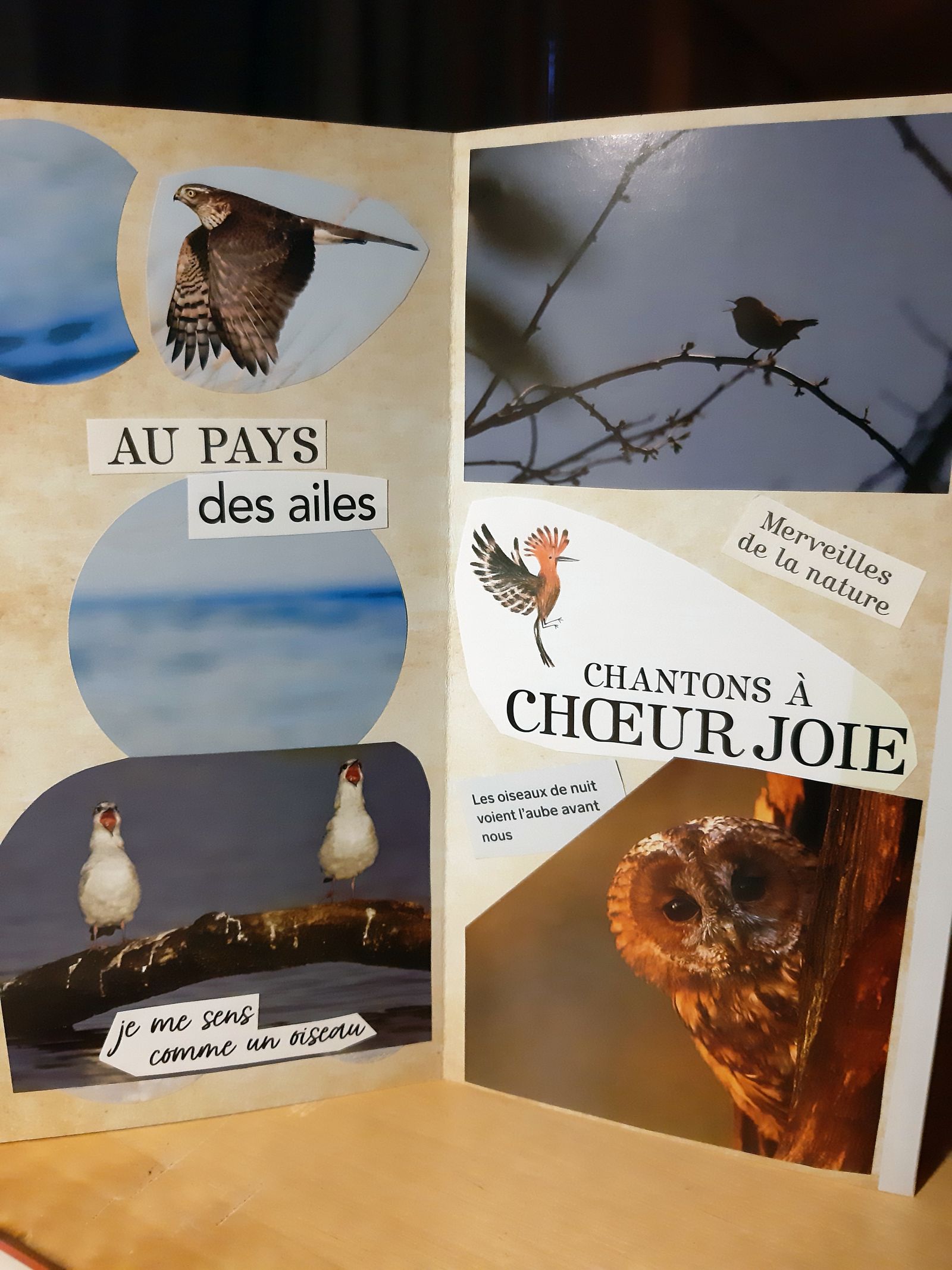 S&rsquo;exprimer en silence