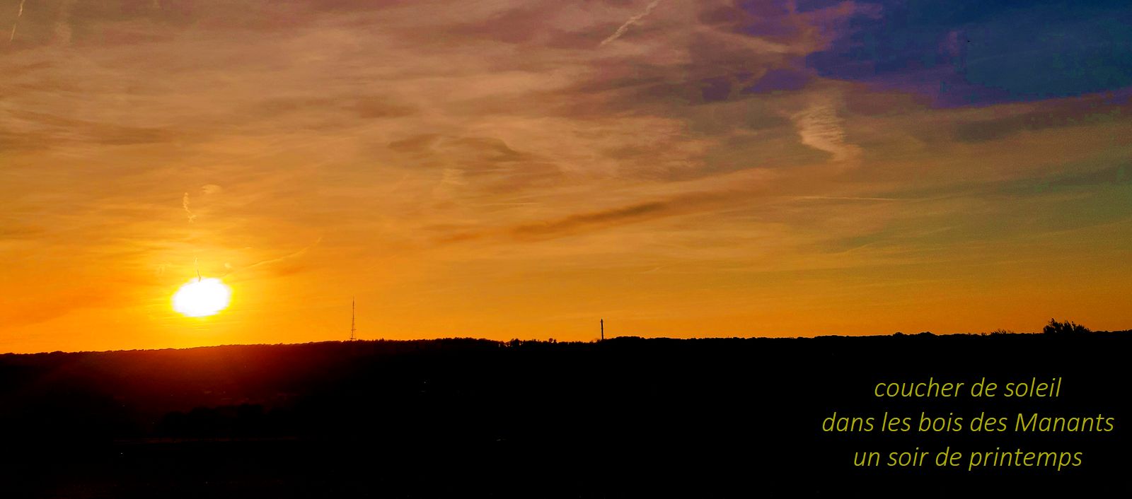 Atelier d&rsquo;écriture dans la&nbsp;forêt