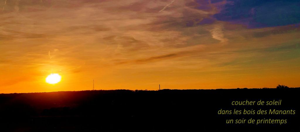 Atelier d’écriture dans la forêt