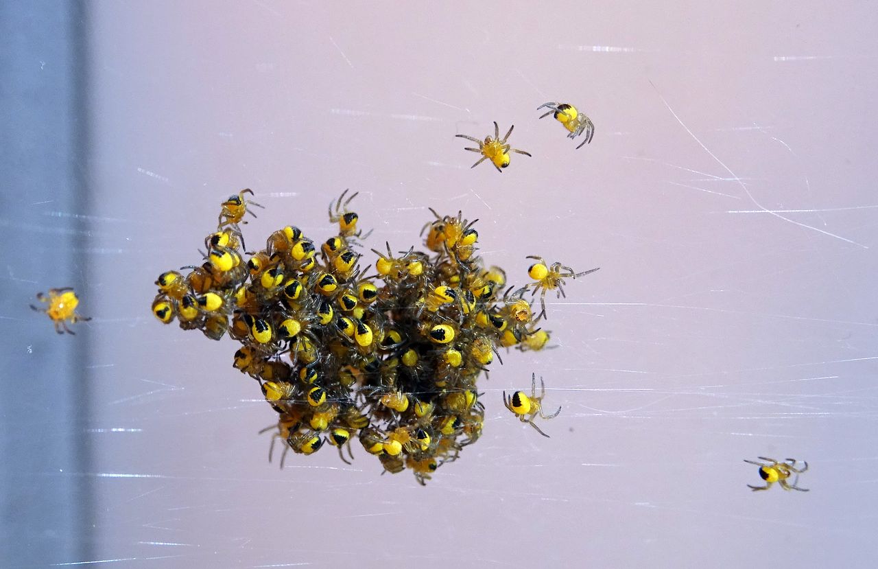 Observer, photographier, scribouiller