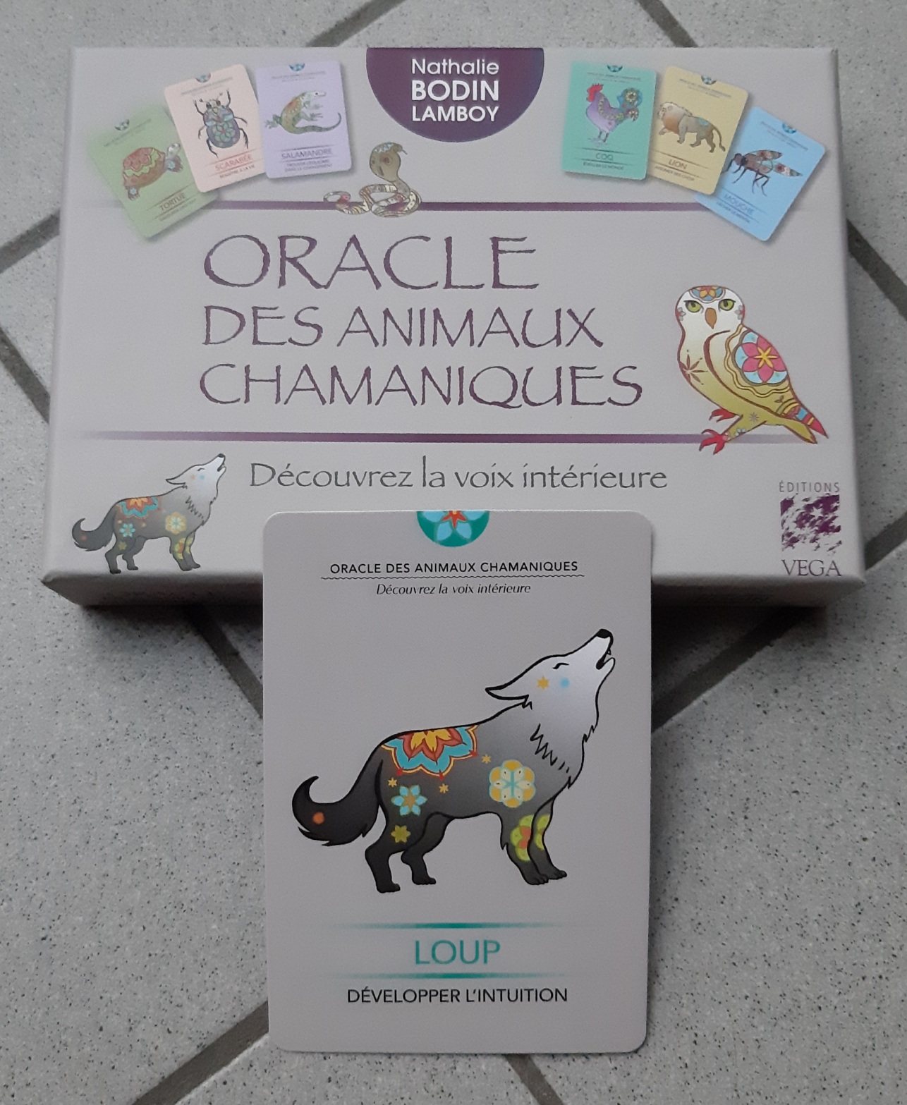 Un loup en&nbsp;rêve