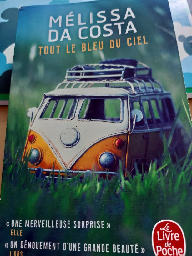 Tout le bleu du ciel, Mélissa Da Costa, lecture&nbsp;bouleversante