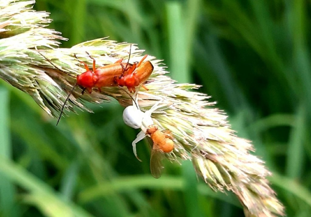 Ma petite histoire d’après 5 mots