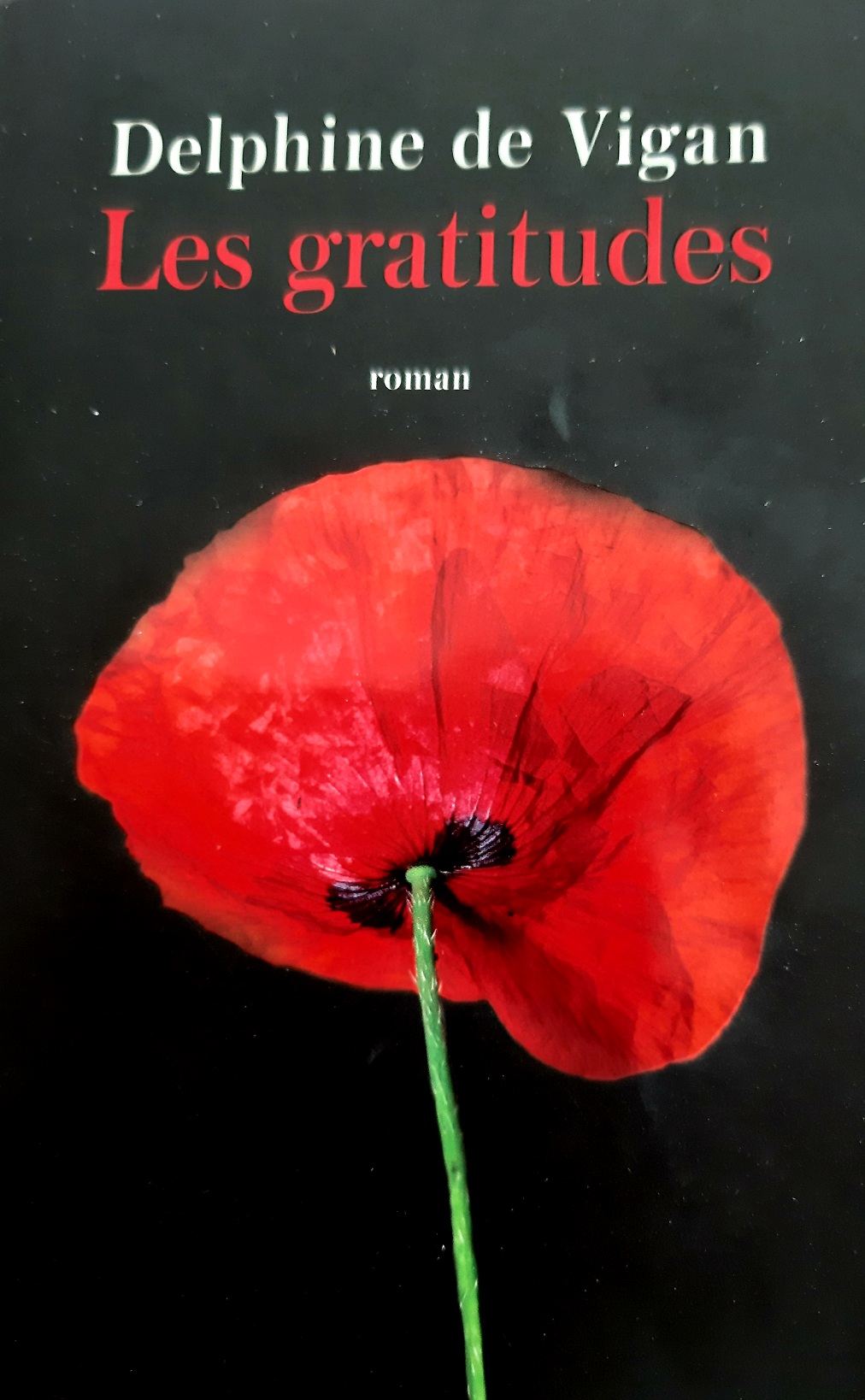 Où vont les mots quand ils s&rsquo;en vont&nbsp;?