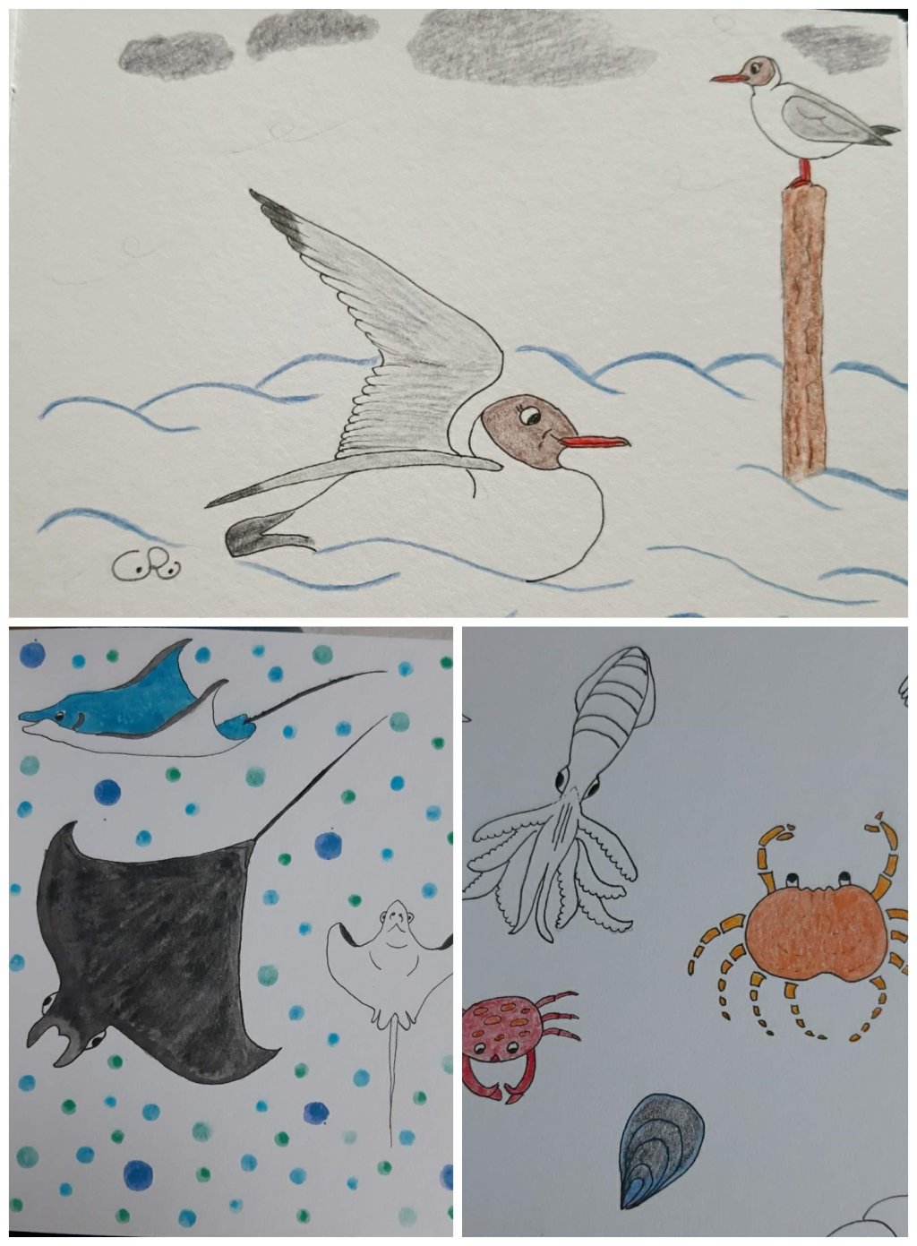 Des livres et des dessins