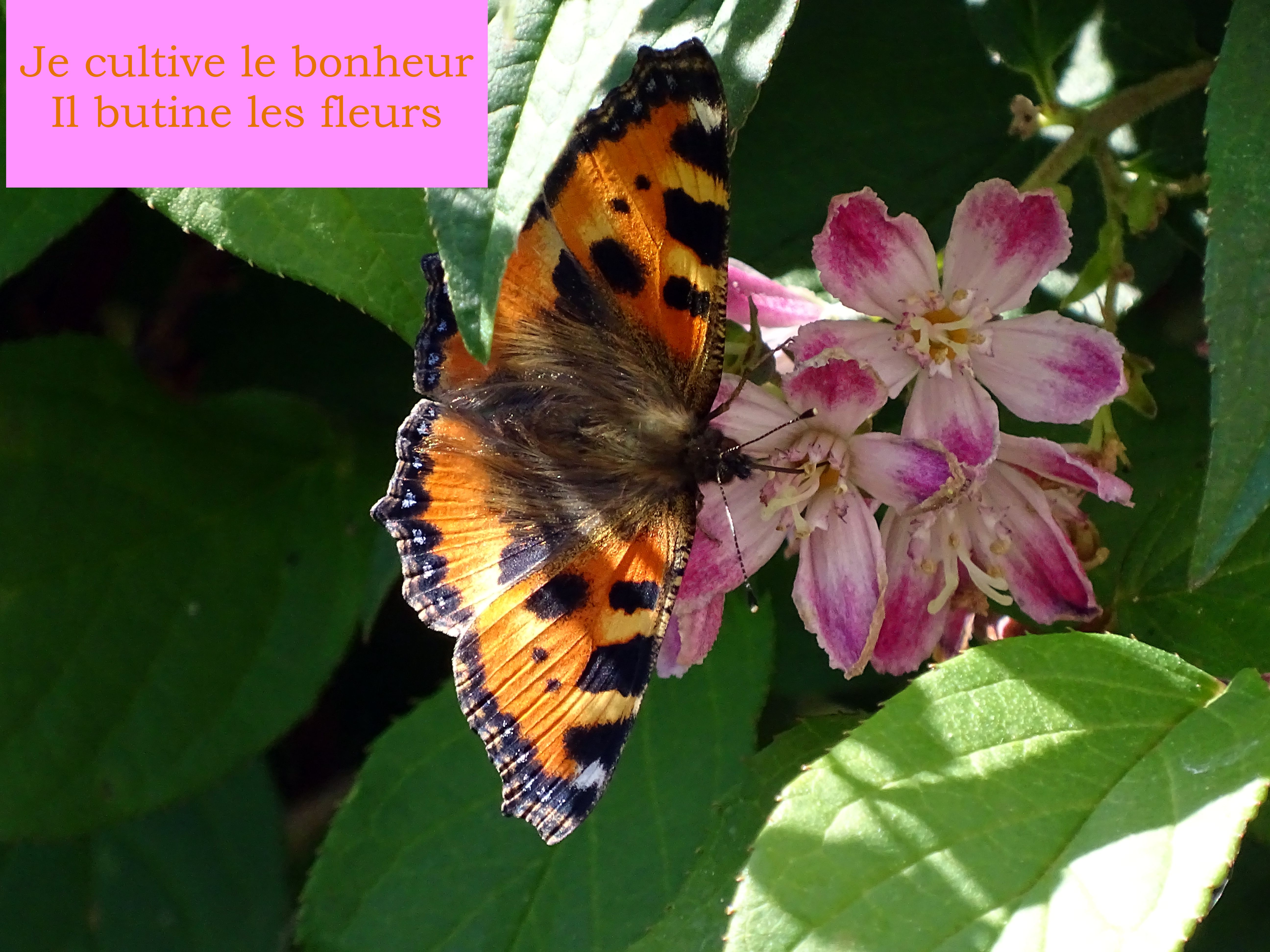 Mon temps préféré, ma saison&nbsp;préférée