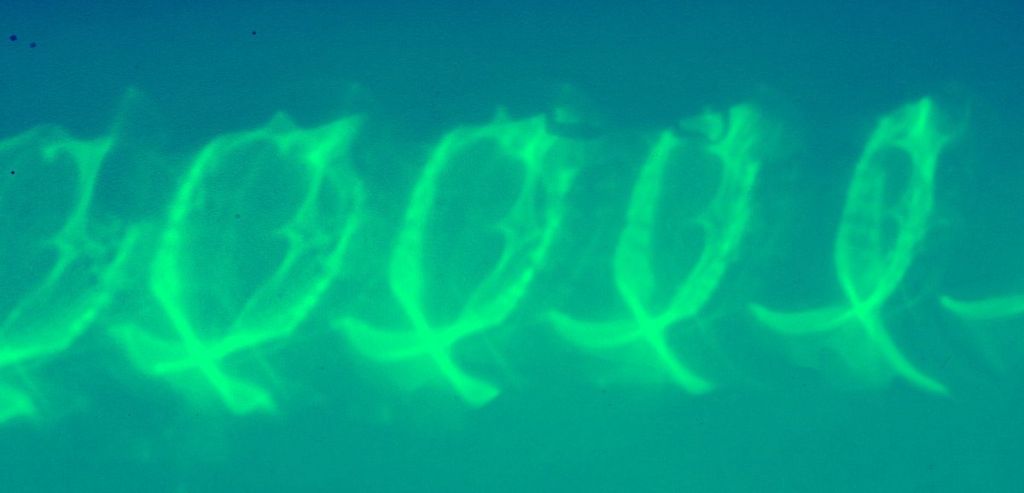 Écrire un texte d&rsquo;après une&nbsp;image