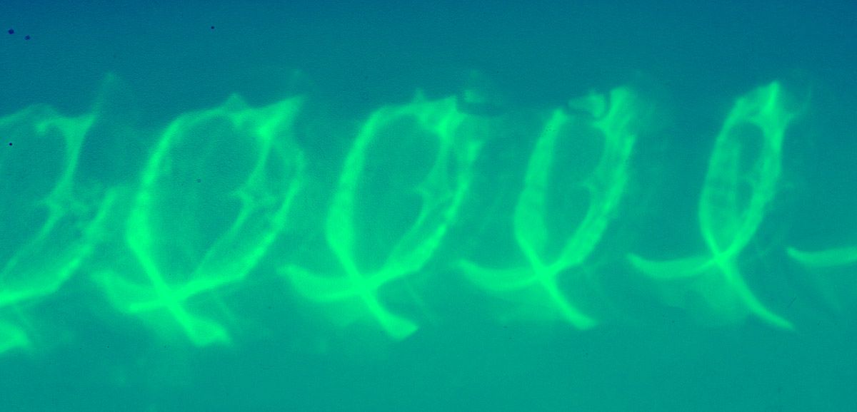 Écrire un texte d&rsquo;après une&nbsp;image