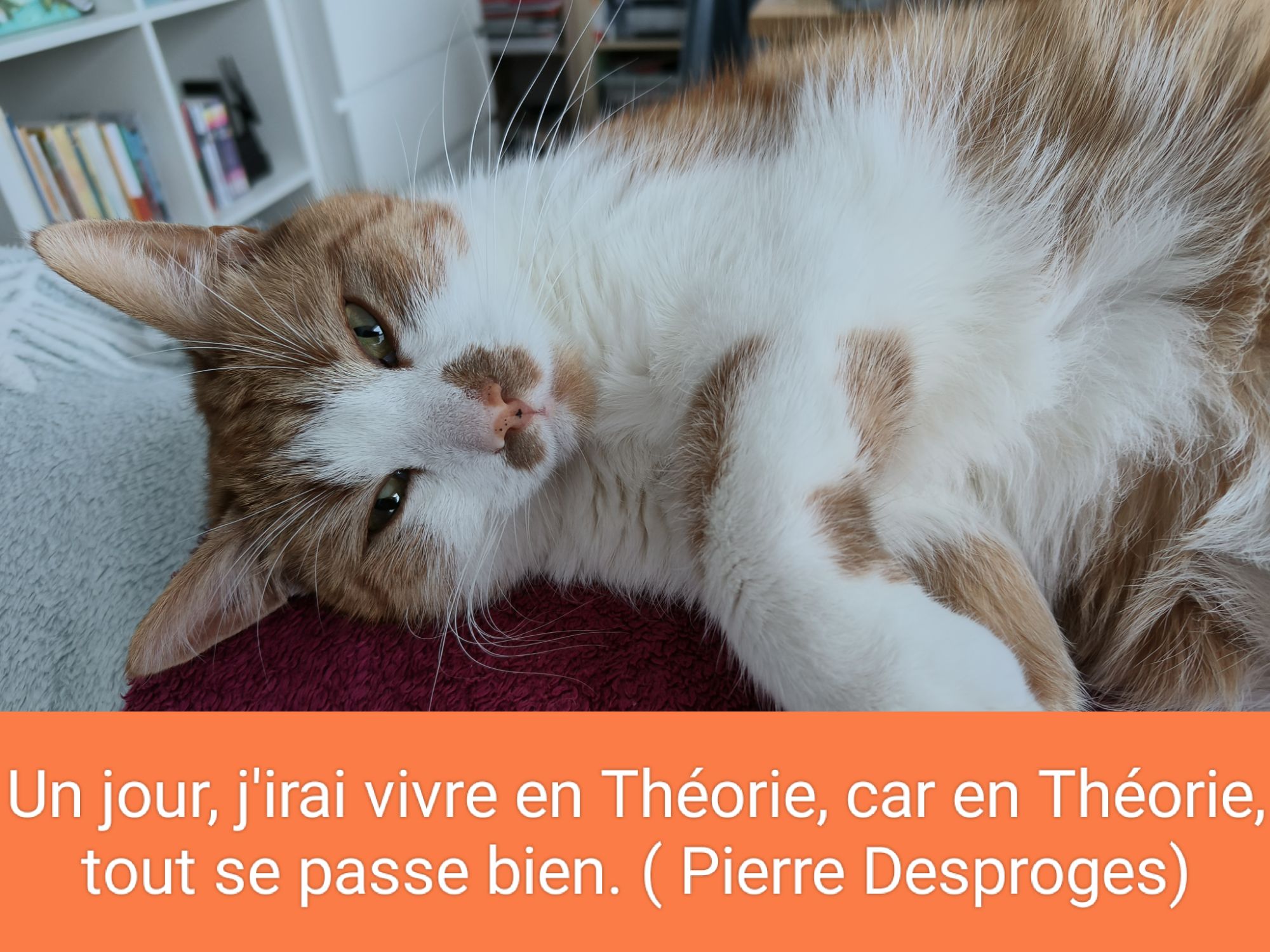 Citation, un jour,&nbsp;…