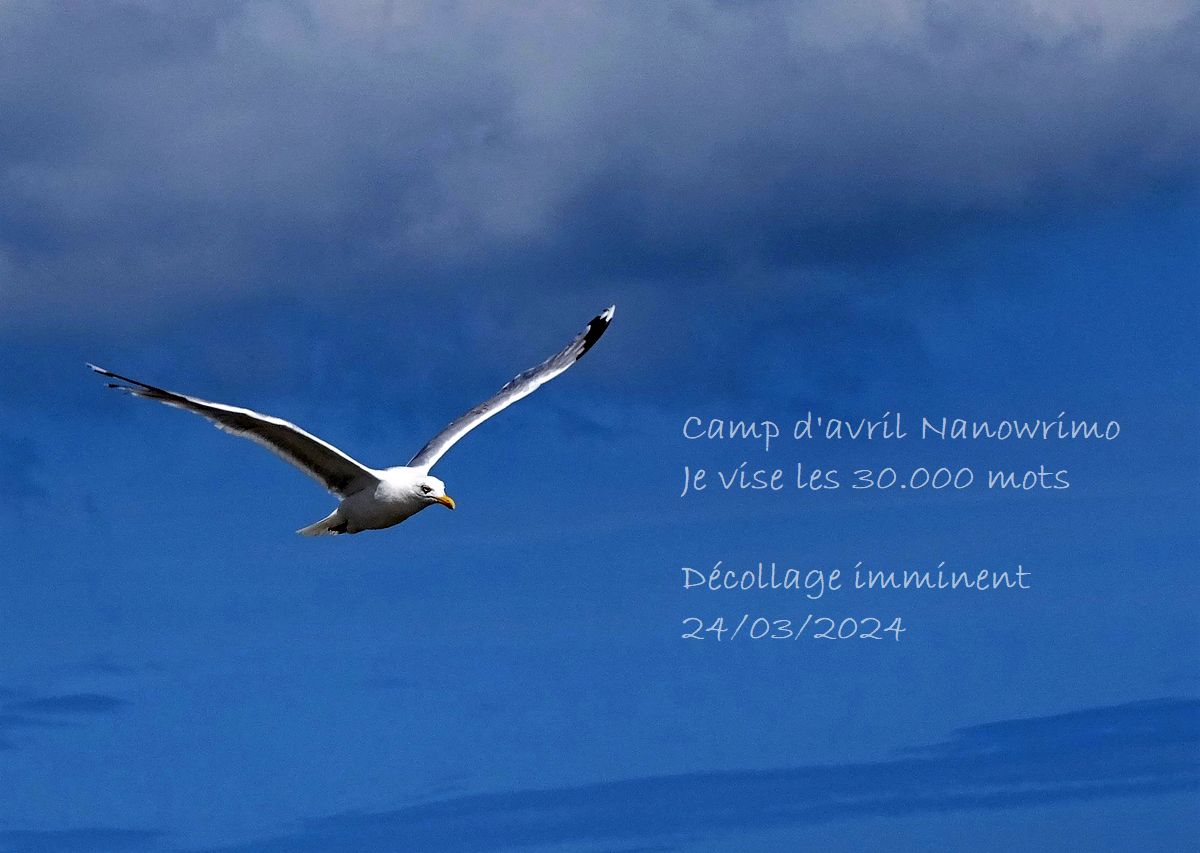 NaNoWriMo, camp d&rsquo;avril&nbsp;J-5