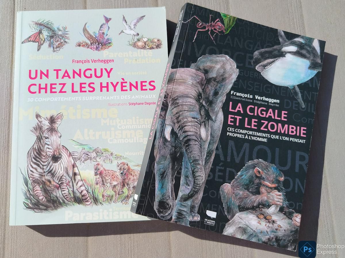 L&rsquo;homme est un&nbsp;animal