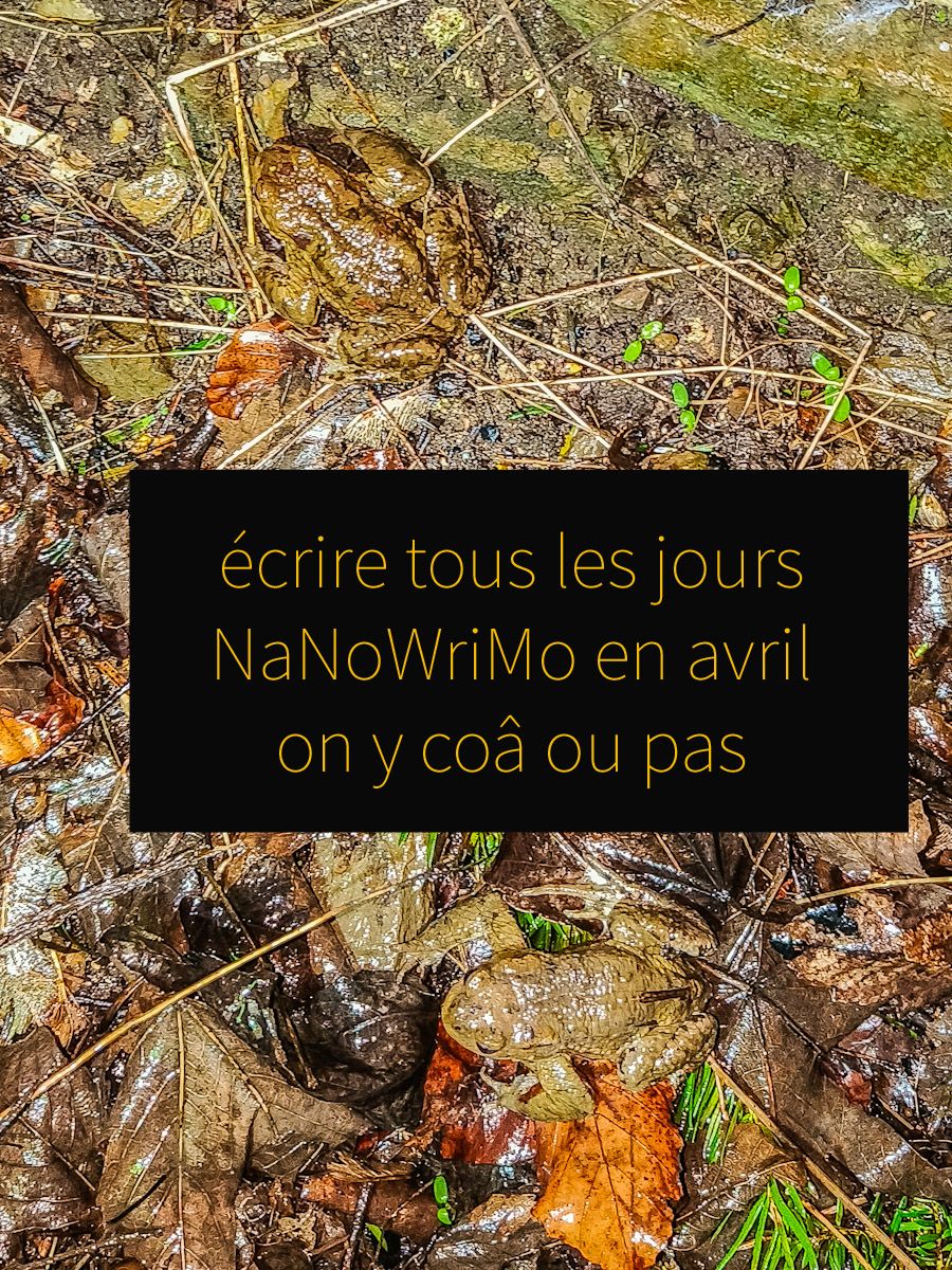 Camp d&rsquo;avril, faut pas que j&rsquo;me&nbsp;défile