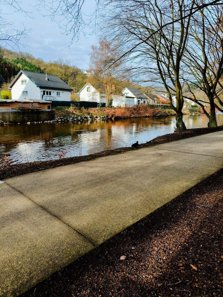 Balade dominicale, choix de jumelles, sans&nbsp;APN