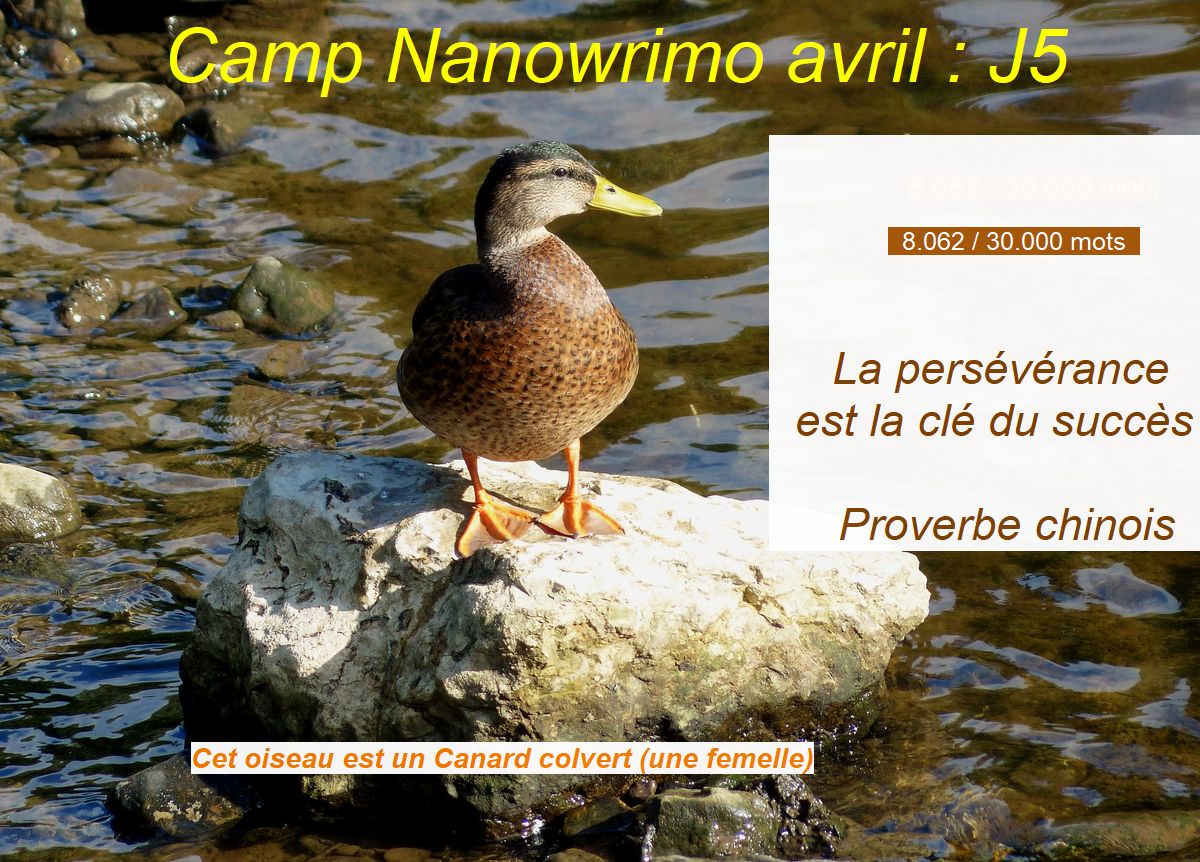 Camp Nano avril 2024 :&nbsp;J5