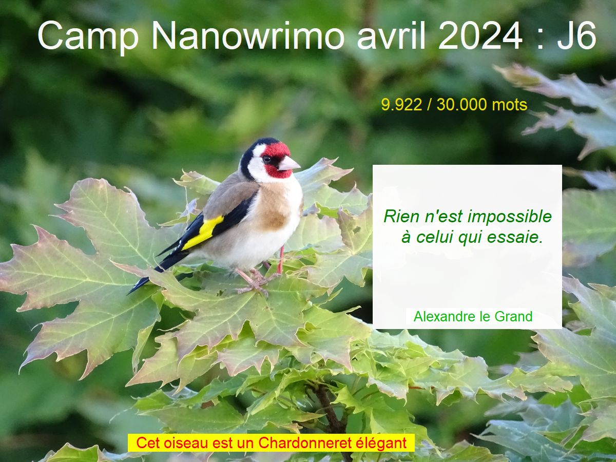 Camp Nano avril 2024 :&nbsp;J6