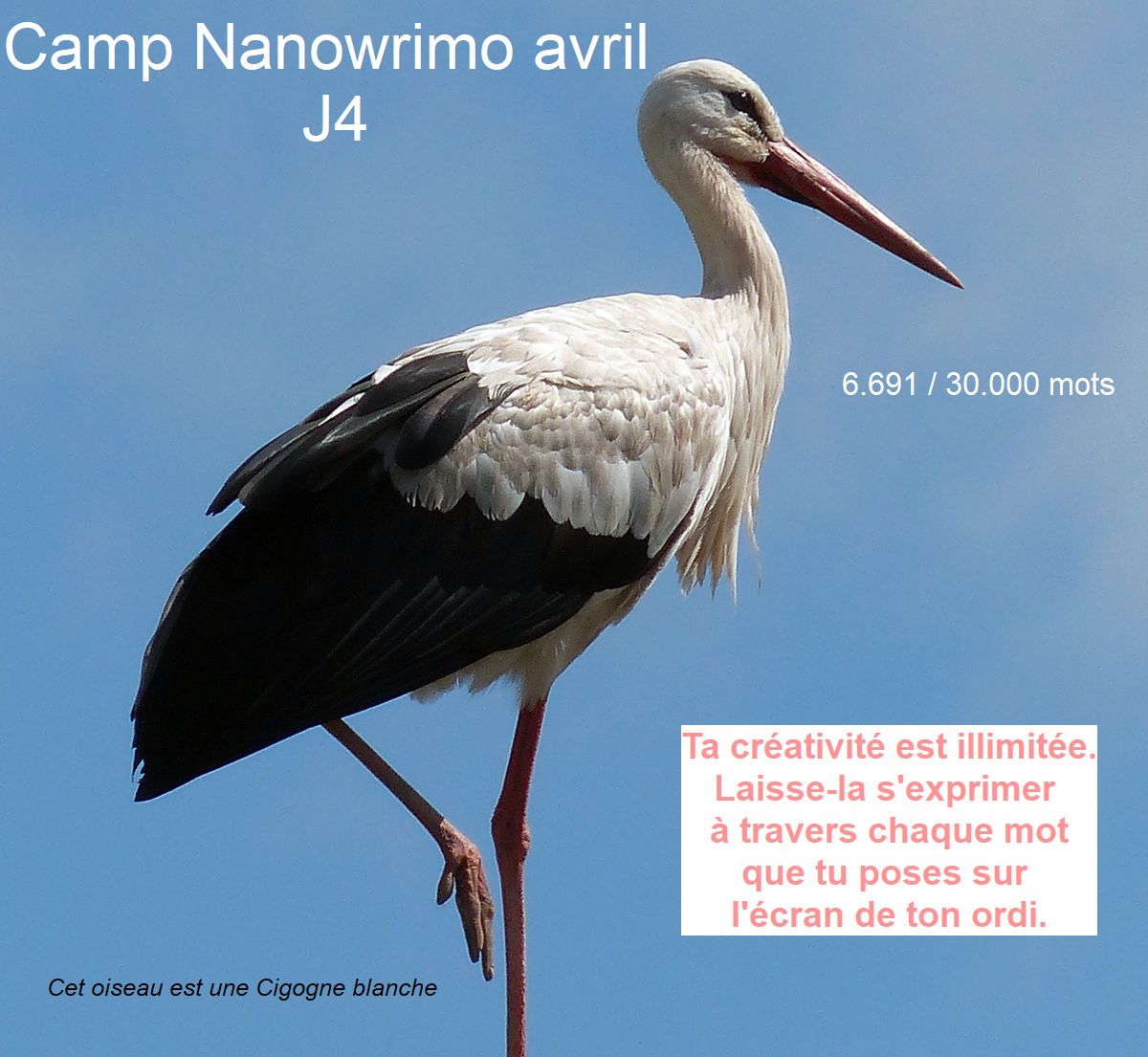 Camp Nano avril 2024 : J4 et quelques&nbsp;stats