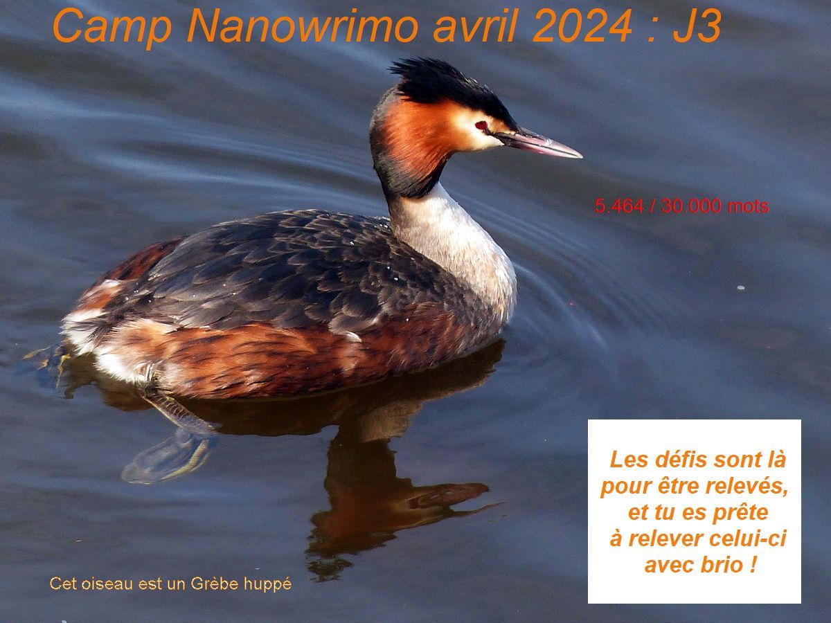 Camp Nano avril 2024 :&nbsp;J3
