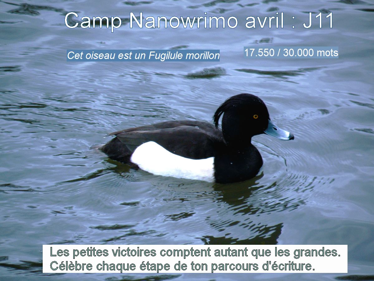 Le succès n&rsquo;est pas la destination, c&rsquo;est le voyage (Zig&nbsp;Ziglar)