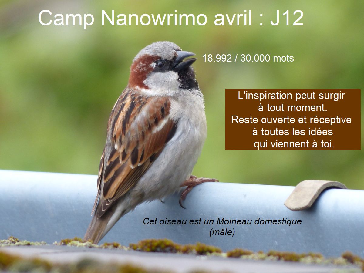 L&rsquo;inspiration peut surgir à tout&nbsp;moment