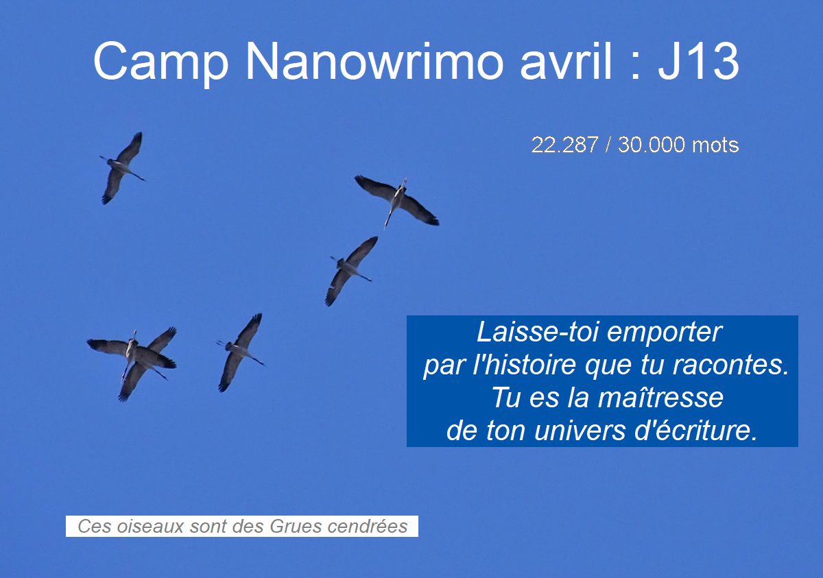 Il y a une première fois à toute&nbsp;chose