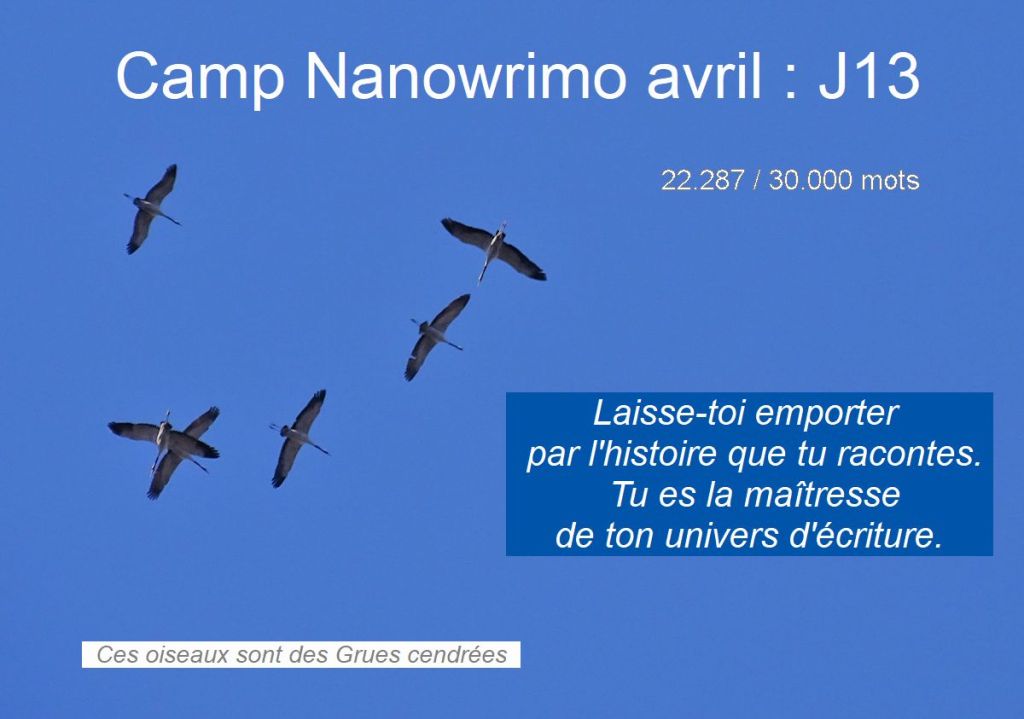 Il y a une première fois à toute&nbsp;chose