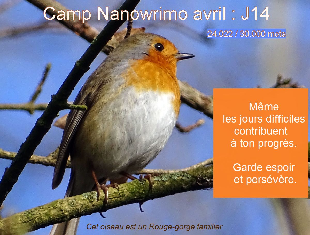 Écrire lentement, mais&nbsp;sûrement