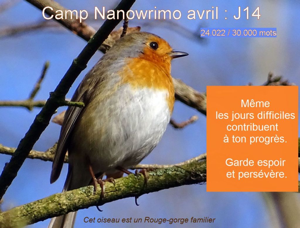 Écrire lentement, mais&nbsp;sûrement