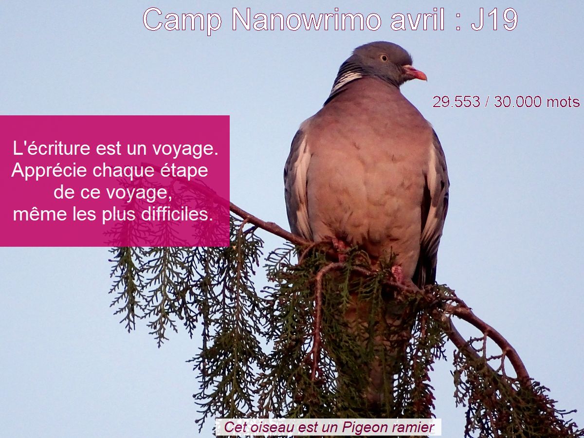 J&rsquo;ai des pouvoirs