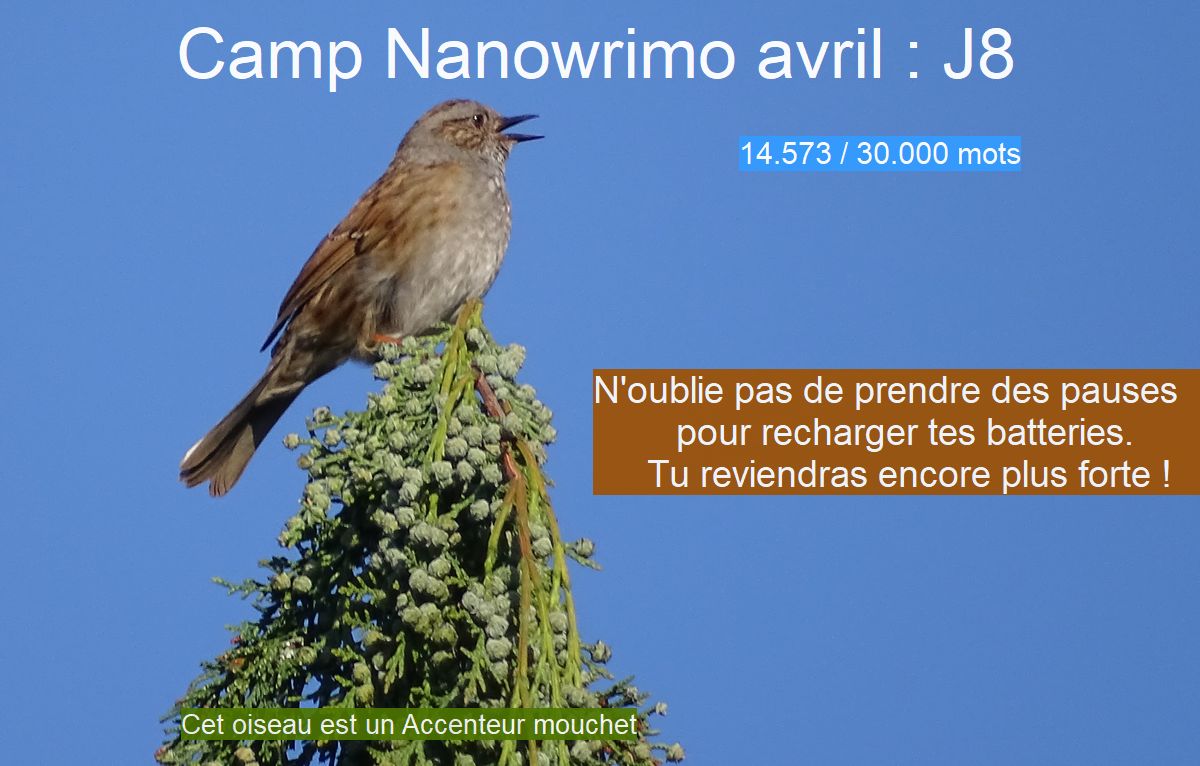 Camp Nano avril 2024 :&nbsp;J8