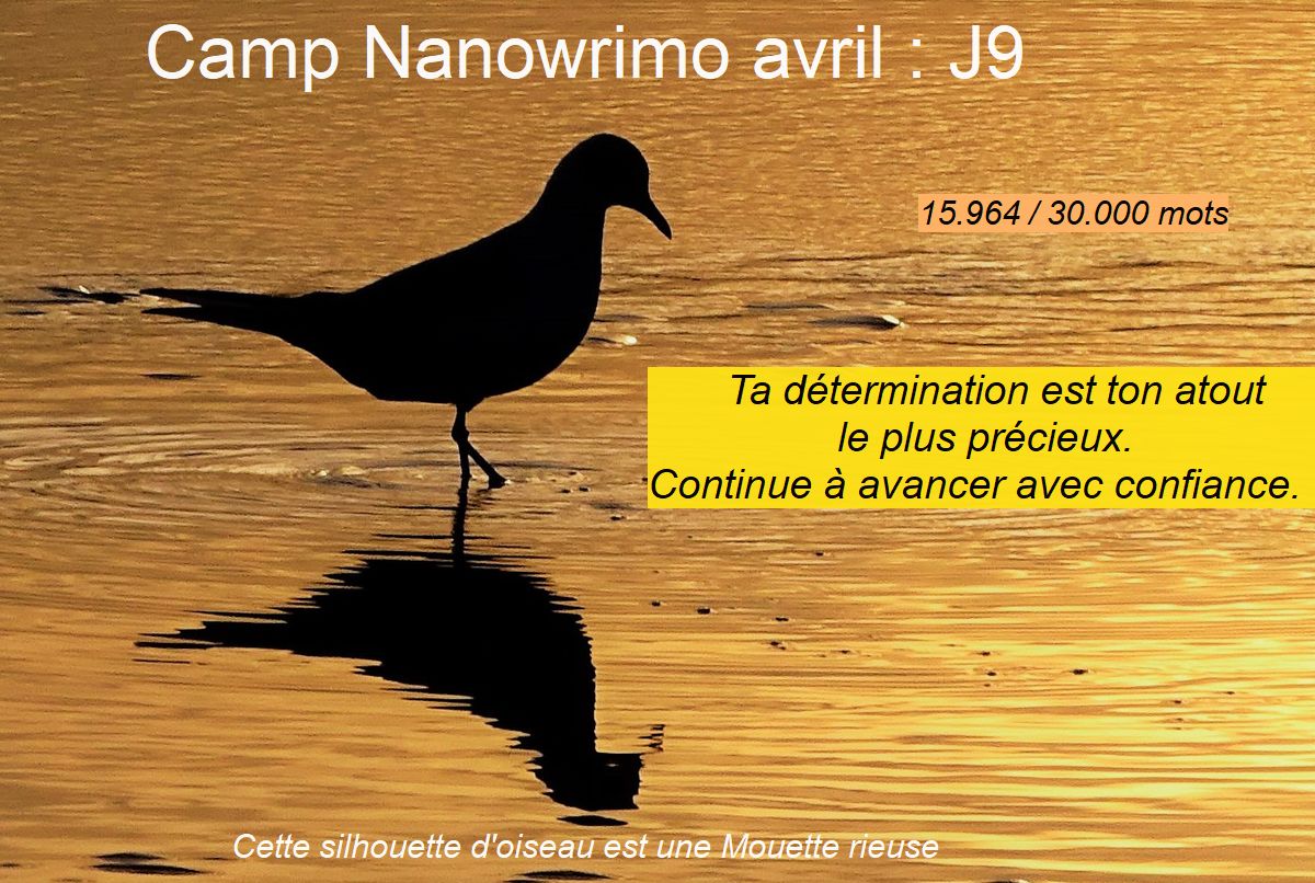 Un article, deux jours d&rsquo;écriture