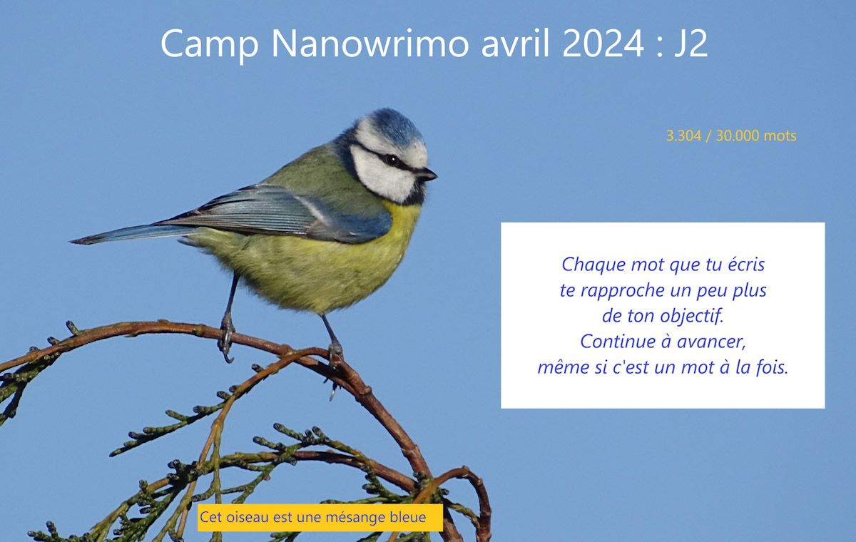 Camp Nano avril 2024 :&nbsp;J2
