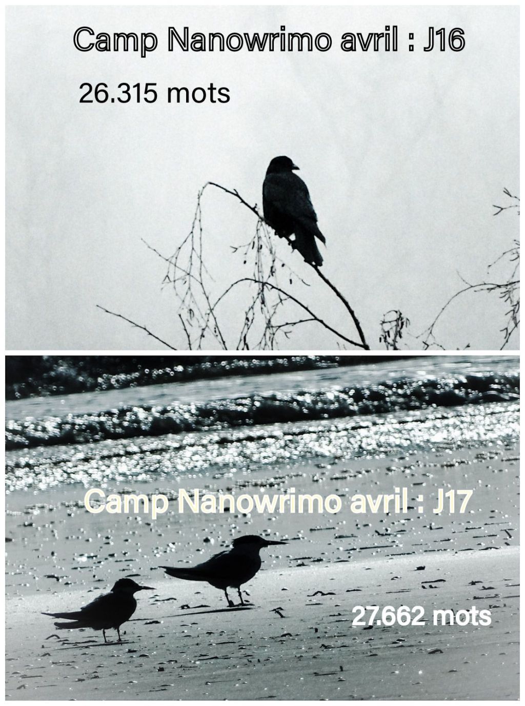 De deux jours&nbsp;l&rsquo;un