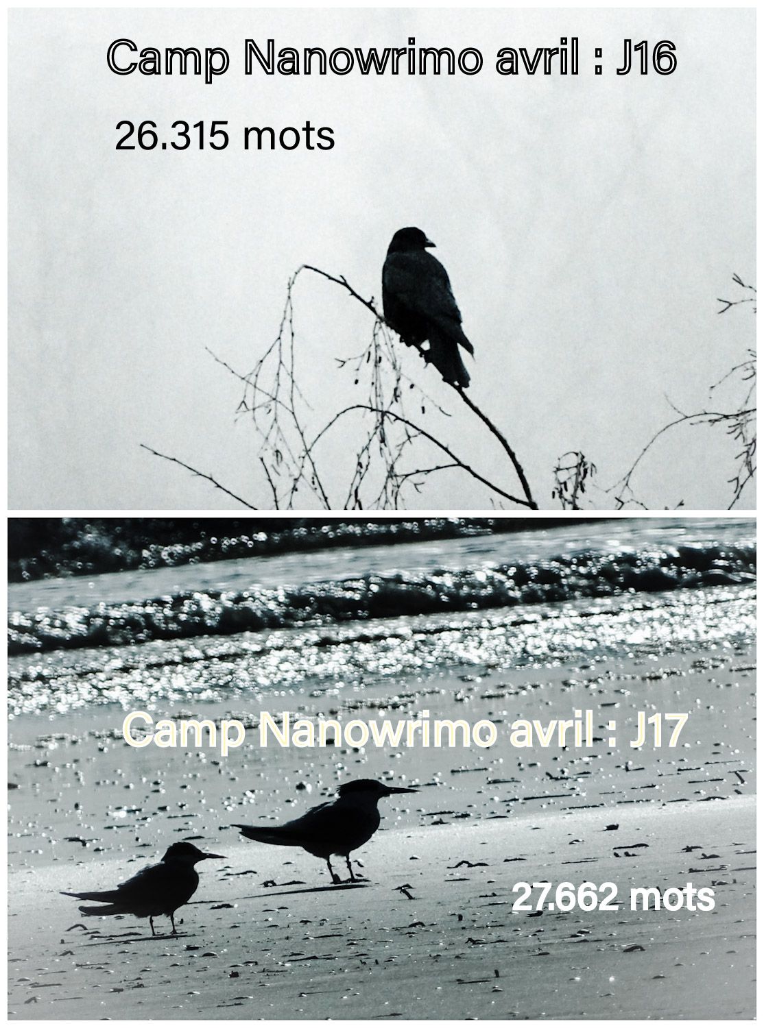 De deux jours&nbsp;l&rsquo;un