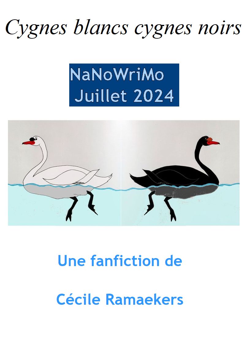 Nanowrimo, le camp de juillet, êtes-vous prêt&nbsp;?