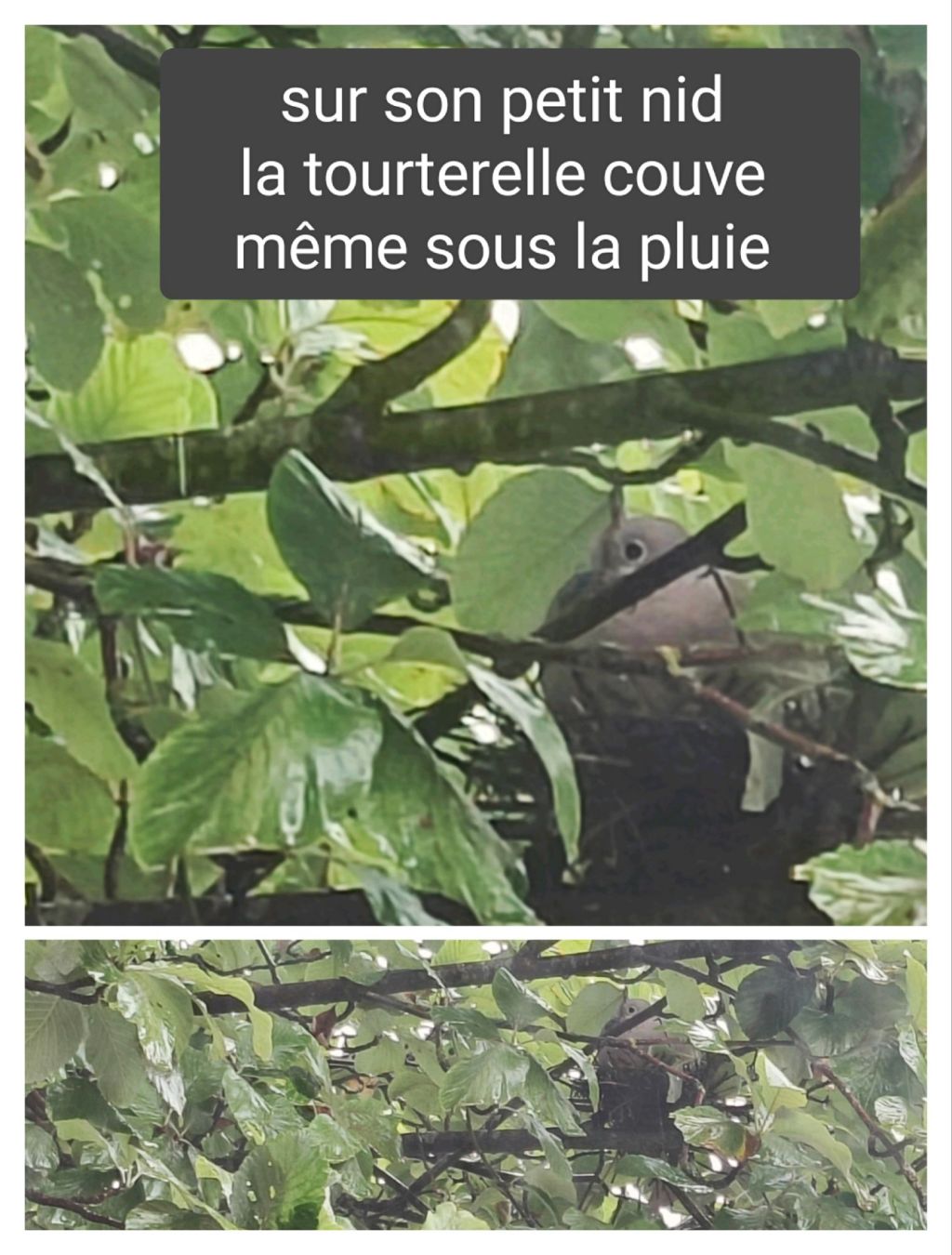 C&rsquo;est la même chose pour tout le&nbsp;monde