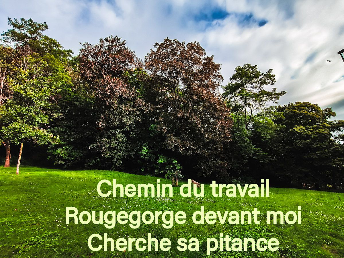 Un haïku en&nbsp;passant