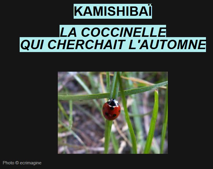 Kamishibaï promotion