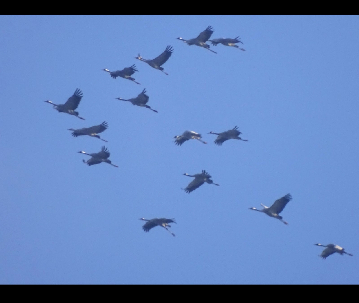 Des cris que j&rsquo;attendais