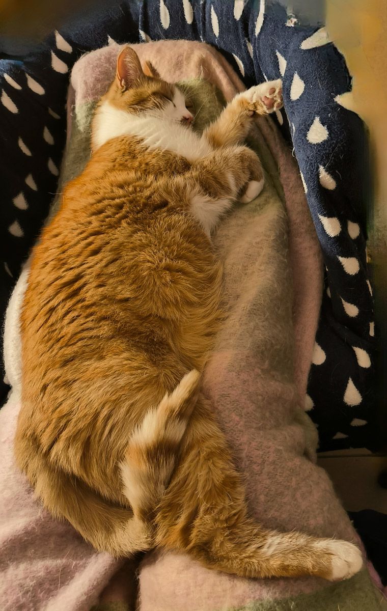 Qu&rsquo;est-ce que vous faites en ce moment&nbsp;?