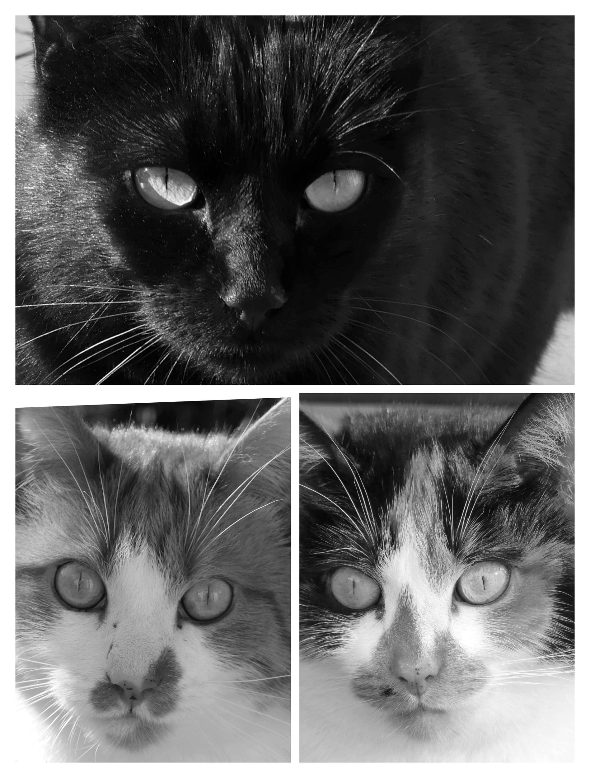 Une insomnie, un&nbsp;délire