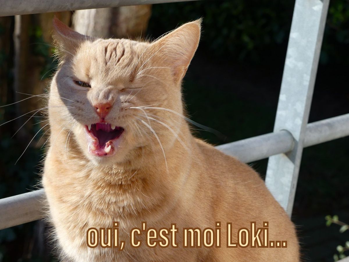 Être réveillée en&nbsp;sursaut