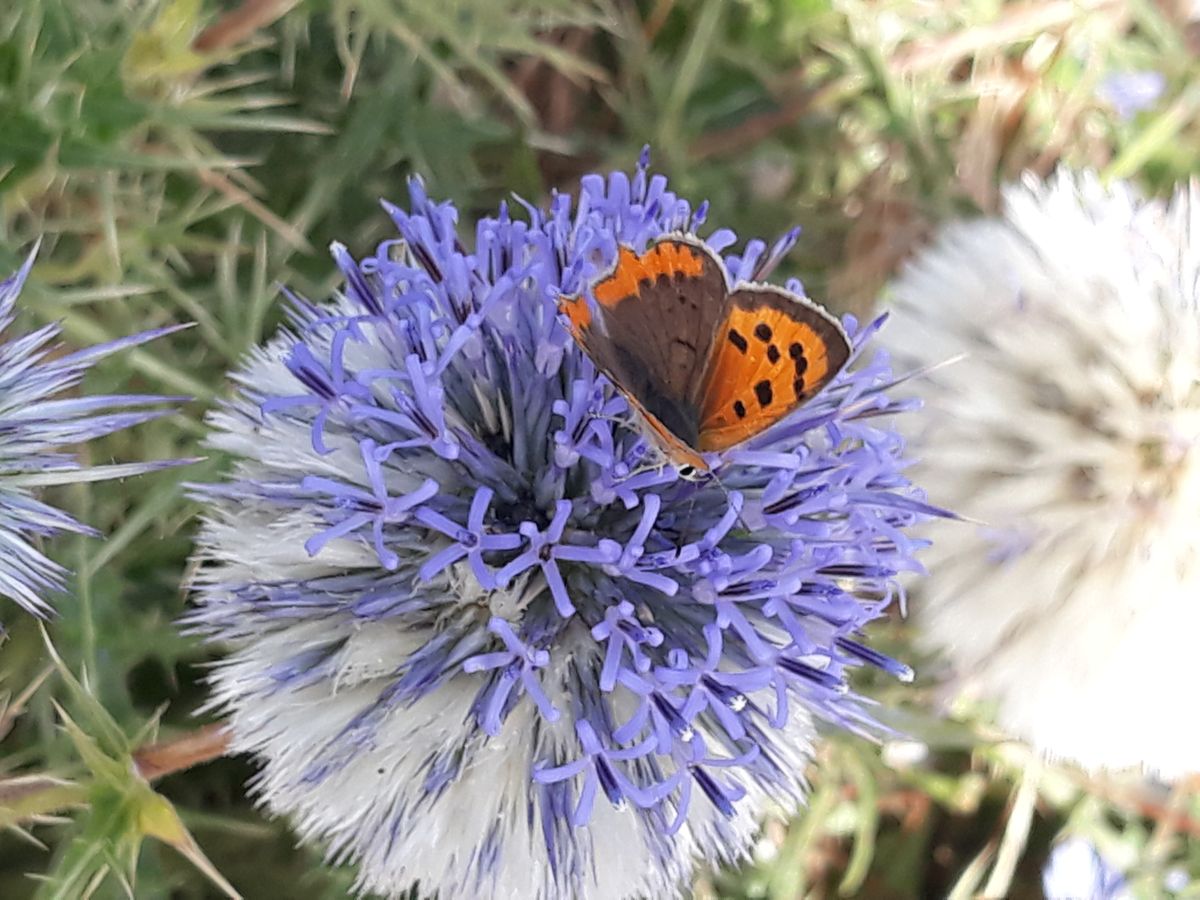 A l&rsquo;ombre des mots partagés, l&rsquo;essence des liens par-delà les&nbsp;frontières
