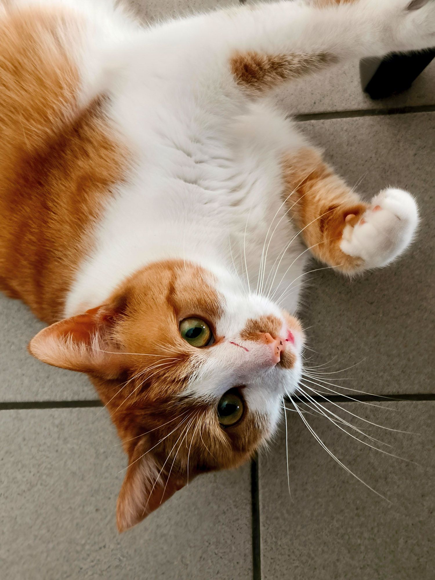 Minos parle, écoutez-le&nbsp;!