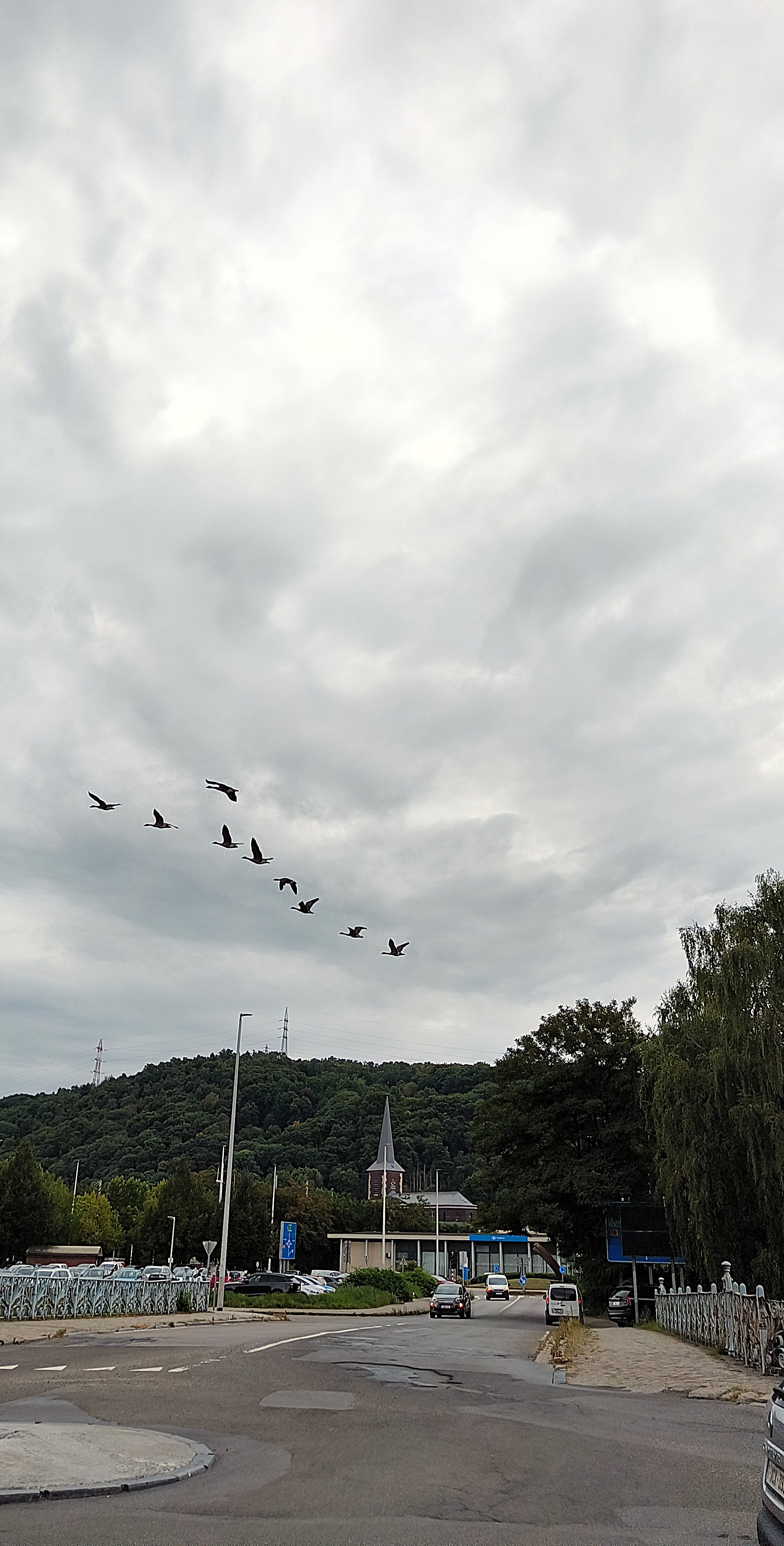 Nature et Sérénité : une promenade&nbsp;fluviale