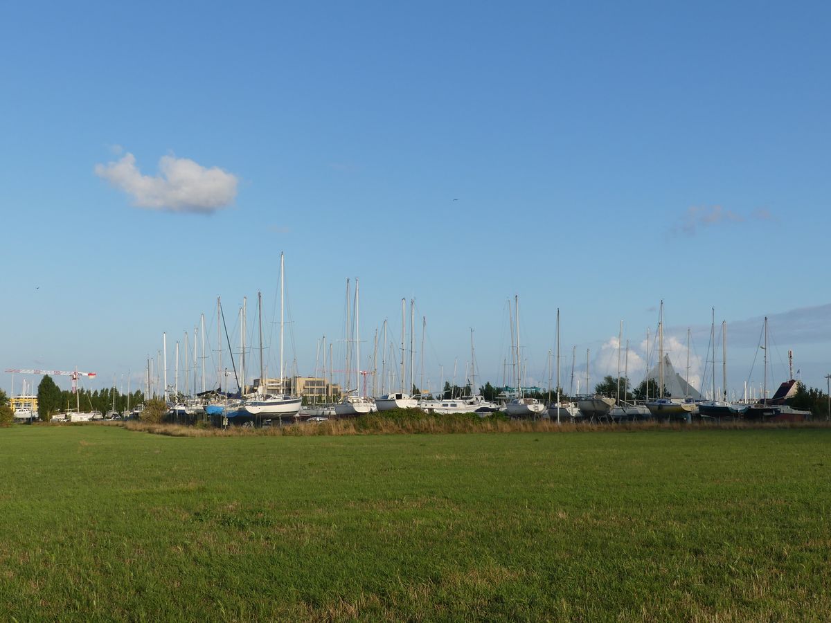 Ce matin-là, j’ai porté la&nbsp;mer