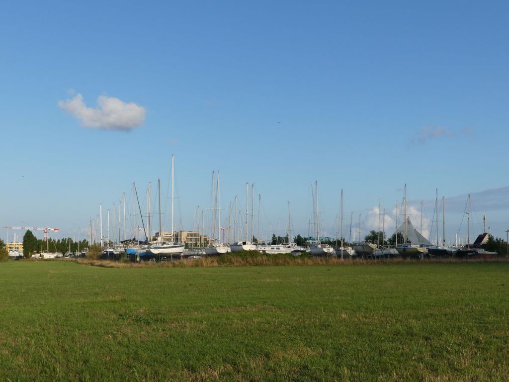 Ce matin-là, j’ai porté la mer