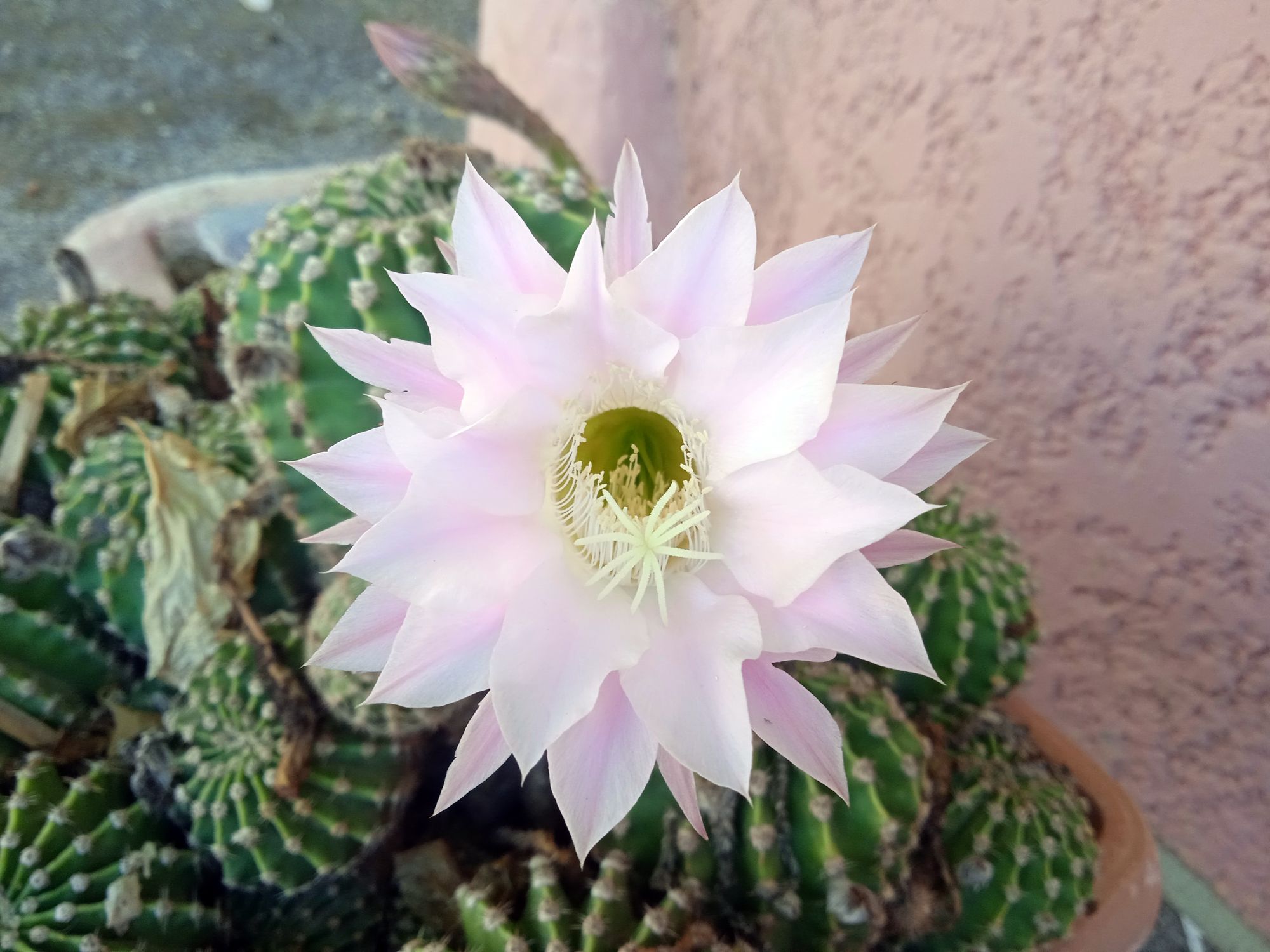 L&rsquo;amitié à travers les mots: Zineb et&nbsp;Ali